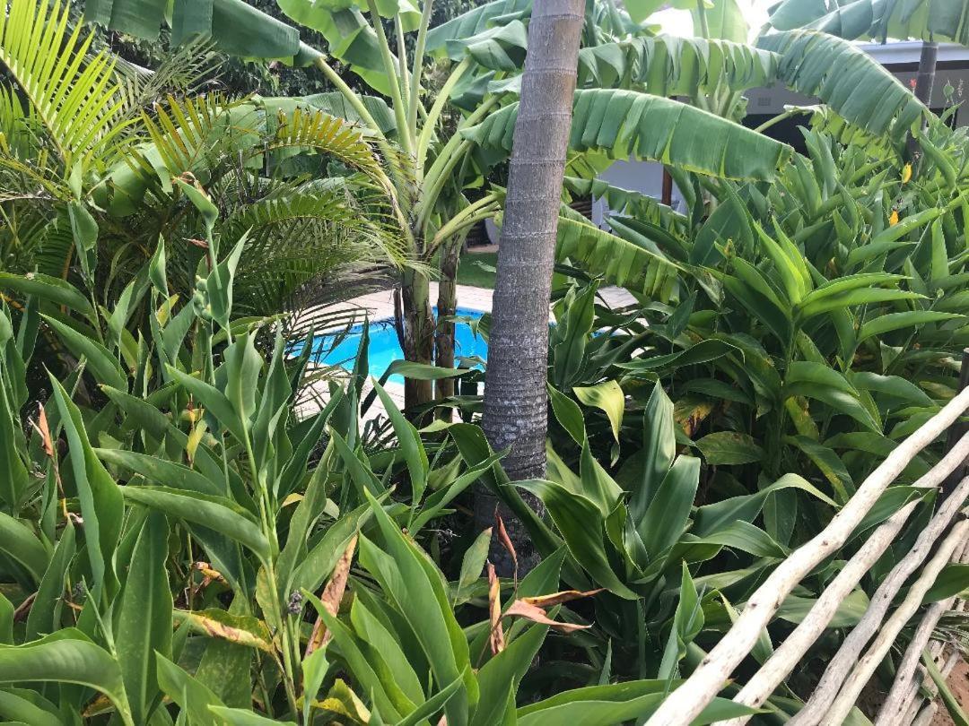 62 Hornbill Street Villa Saint Lucia Estuary Esterno foto